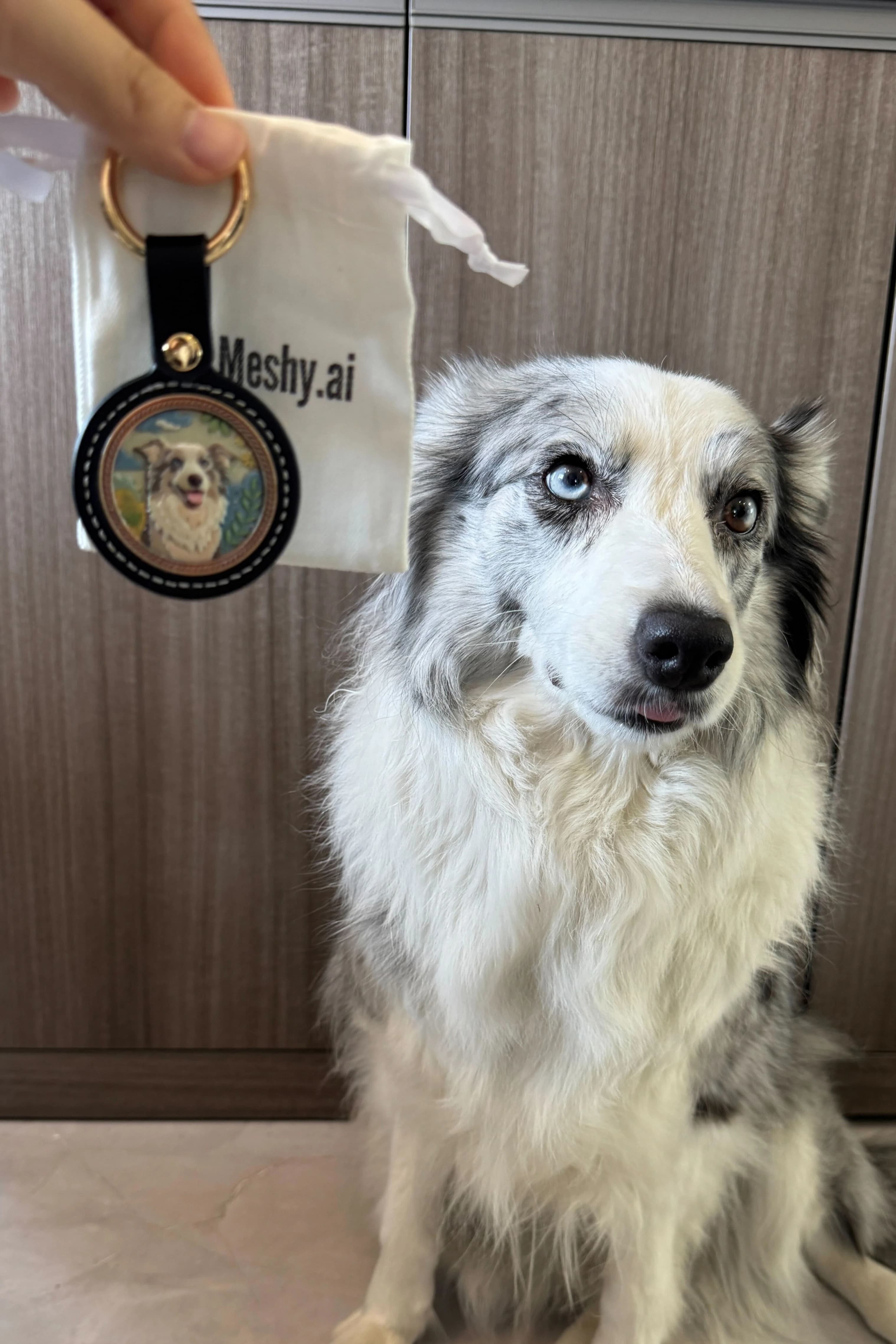 Custom pet keychain review photo from Hannah